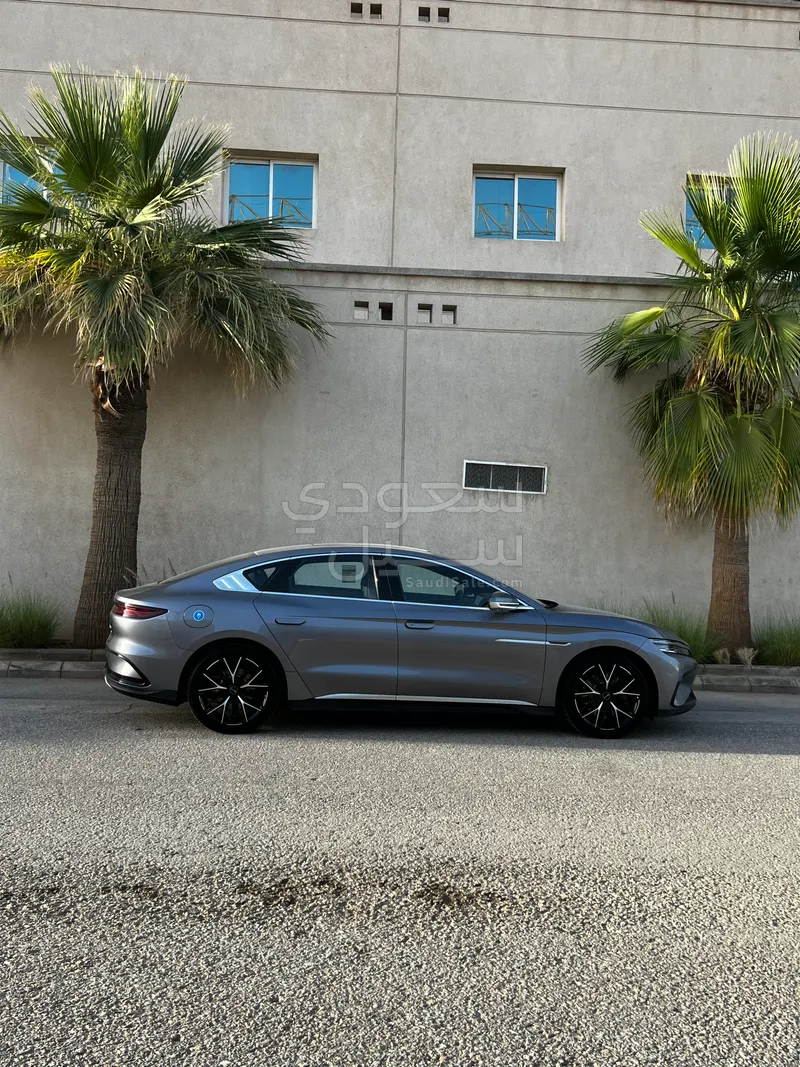 2024 بي واي دي سيل