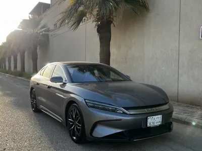 2024 بي واي دي سيل