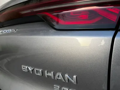 2024 بي واي دي سيل