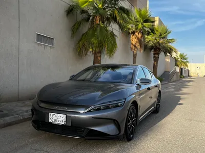 2024 بي واي دي سيل