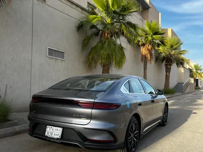 2024 بي واي دي سيل