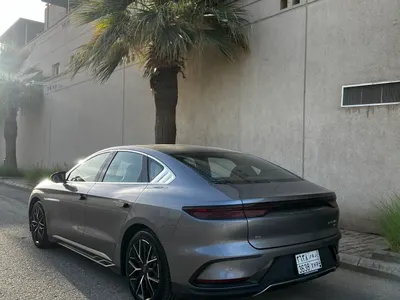 2024 بي واي دي سيل