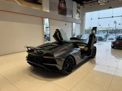 2019 لمبرجيني افنتادور اس