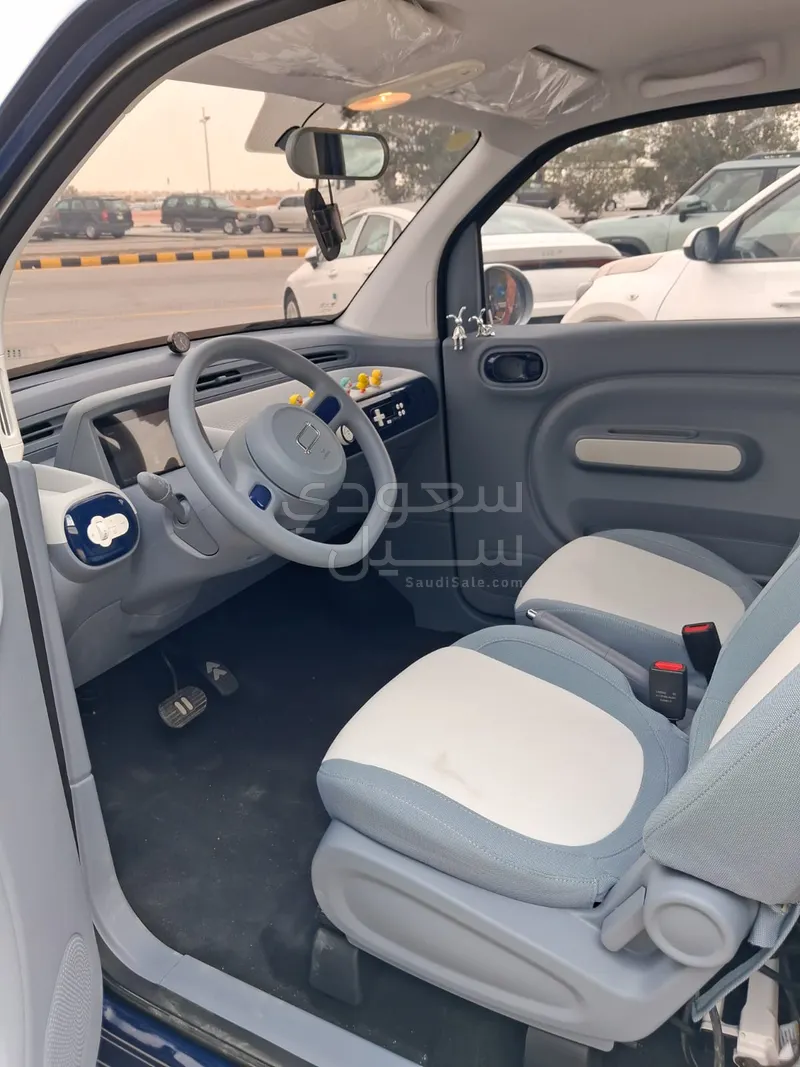 2026 فاو بيستون ميني إي في