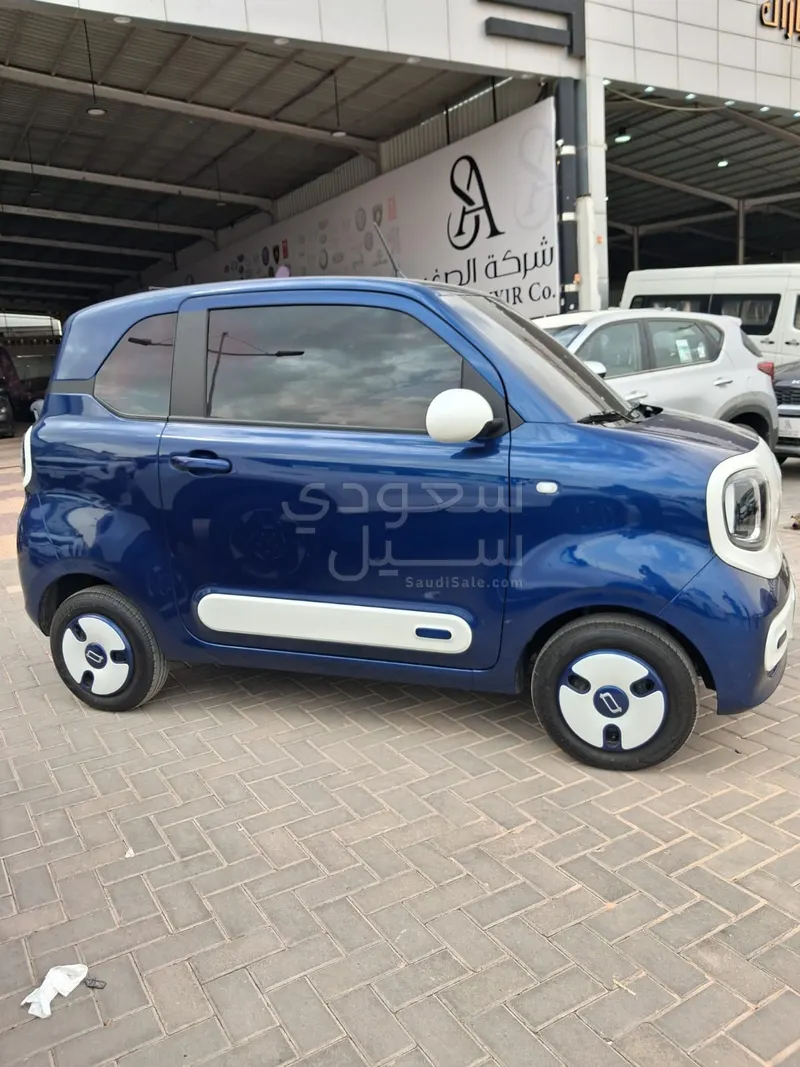 2026 فاو بيستون ميني إي في