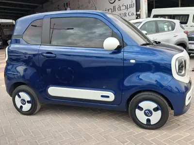 2026 فاو بيستون ميني إي في