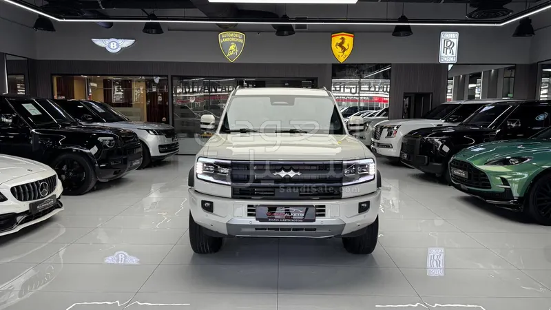 2025 بي واي دي ليوبارد 5