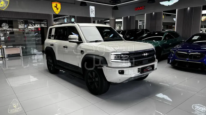 2025 بي واي دي ليوبارد 5