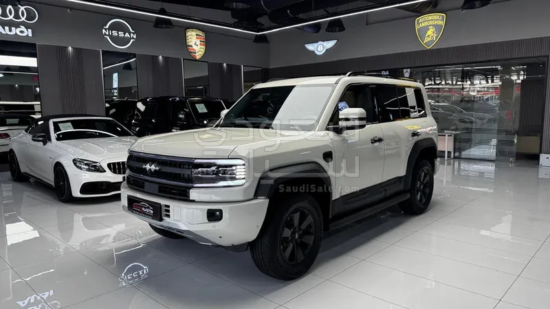 2025 بي واي دي ليوبارد 5