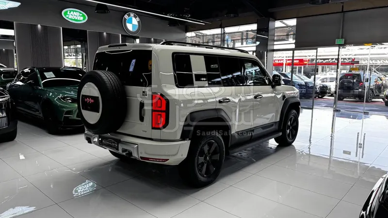 2025 بي واي دي ليوبارد 5