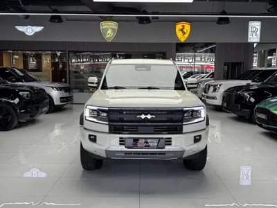 2025 بي واي دي ليوبارد 5