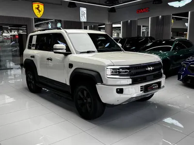 2025 بي واي دي ليوبارد 5