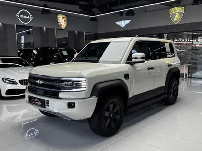 2025 بي واي دي ليوبارد 5