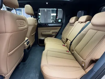 2025 بي واي دي ليوبارد 5