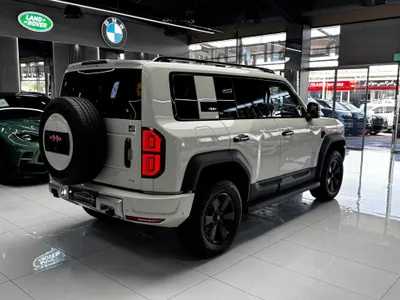 2025 بي واي دي ليوبارد 5