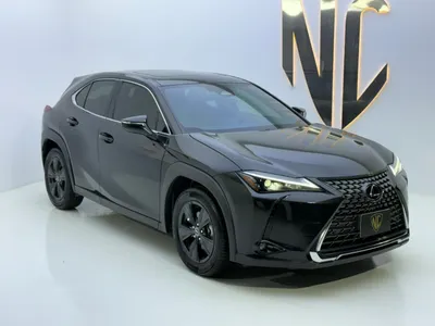 2024 لكزس يو إكس اتش300