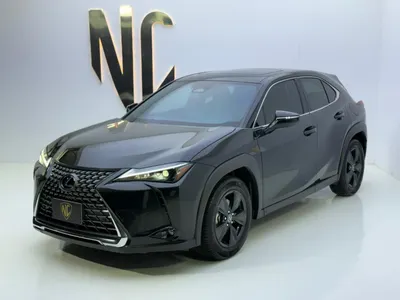 2024 لكزس يو إكس اتش300