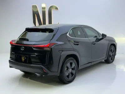 2024 لكزس يو إكس اتش300