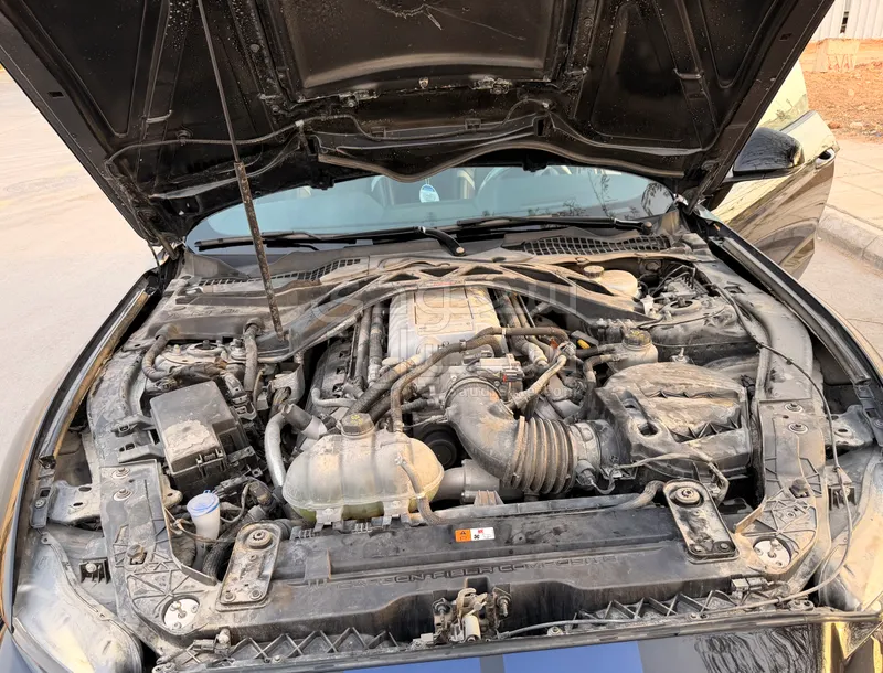 2021 فورد موستانغ شيلبي جي تي 500