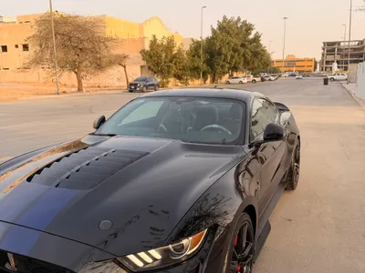 2021 فورد موستانغ شيلبي جي تي 500