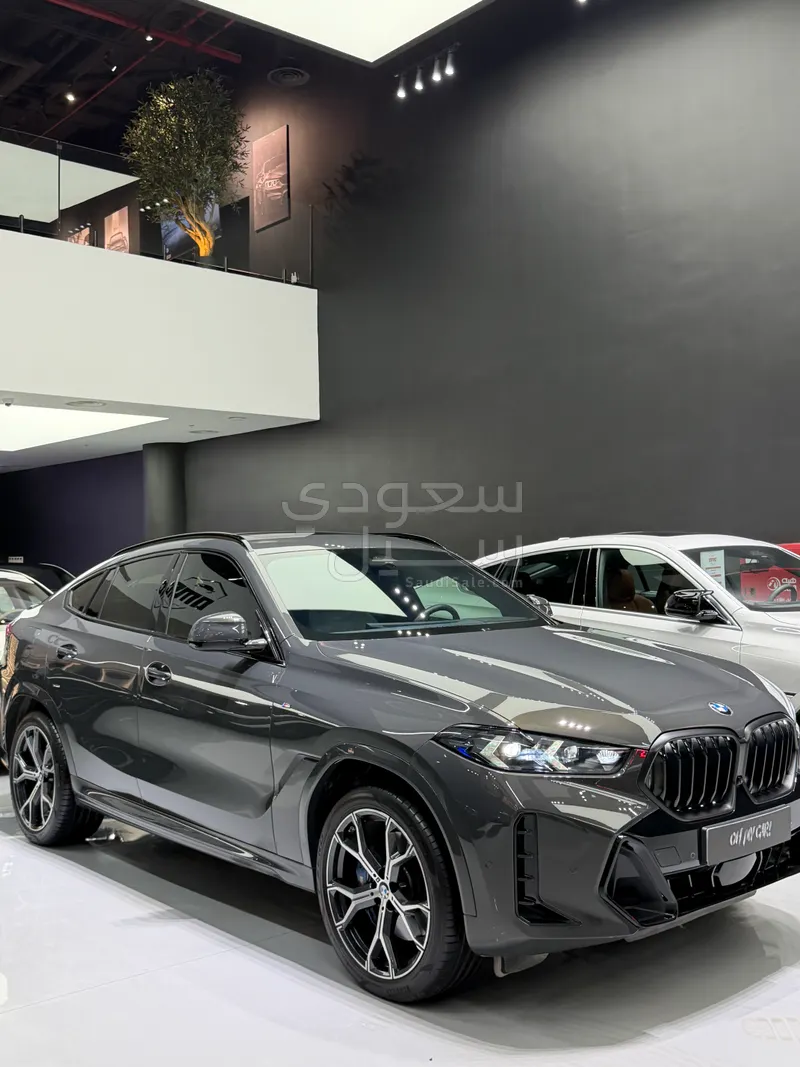 2025 بي ام دبليو الفئة اكس 6