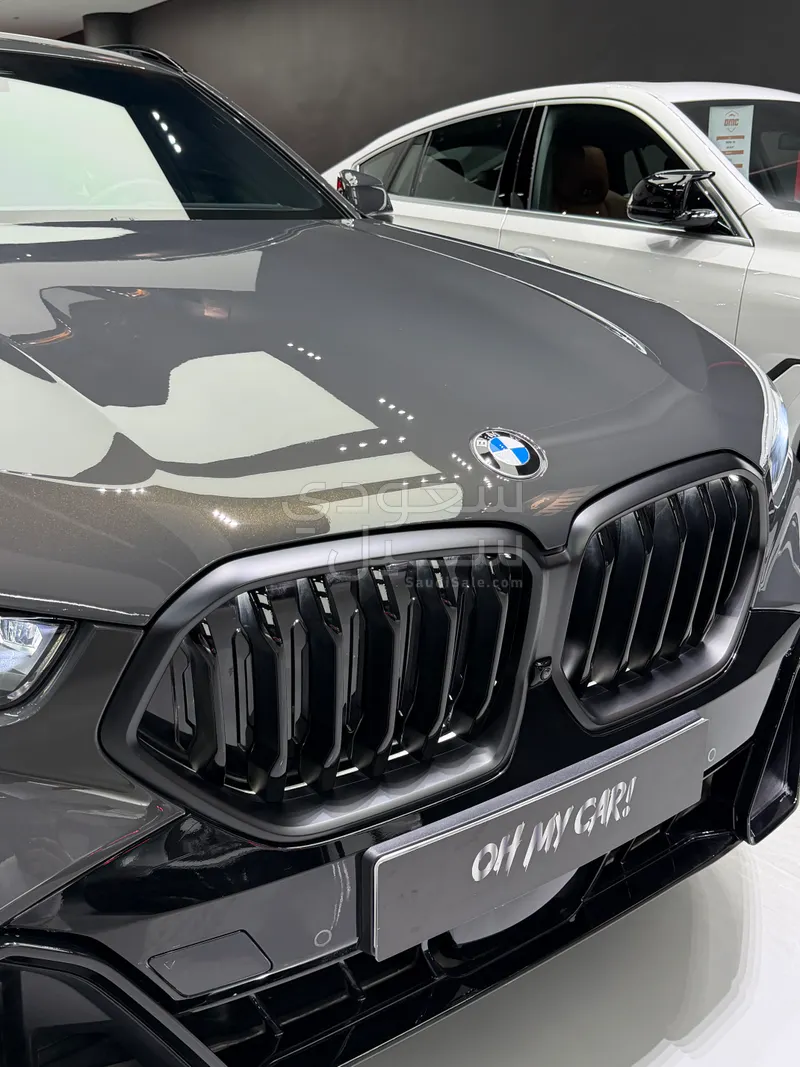 2025 بي ام دبليو الفئة اكس 6