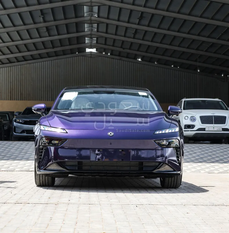 2026 دونج فينج شاين