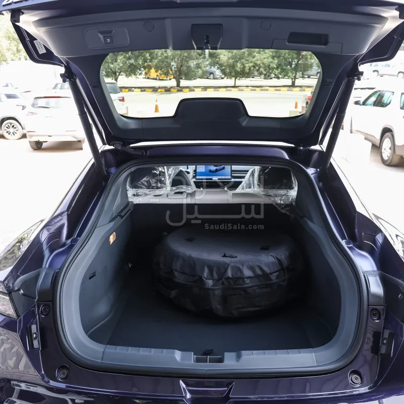 2026 دونج فينج شاين