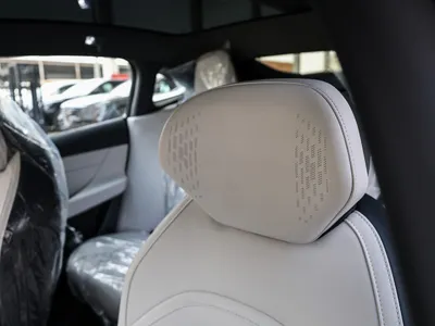 2026 دونج فينج شاين