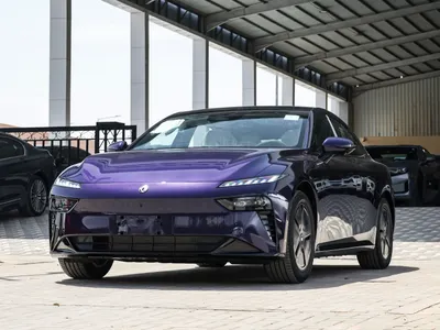 2026 دونج فينج شاين