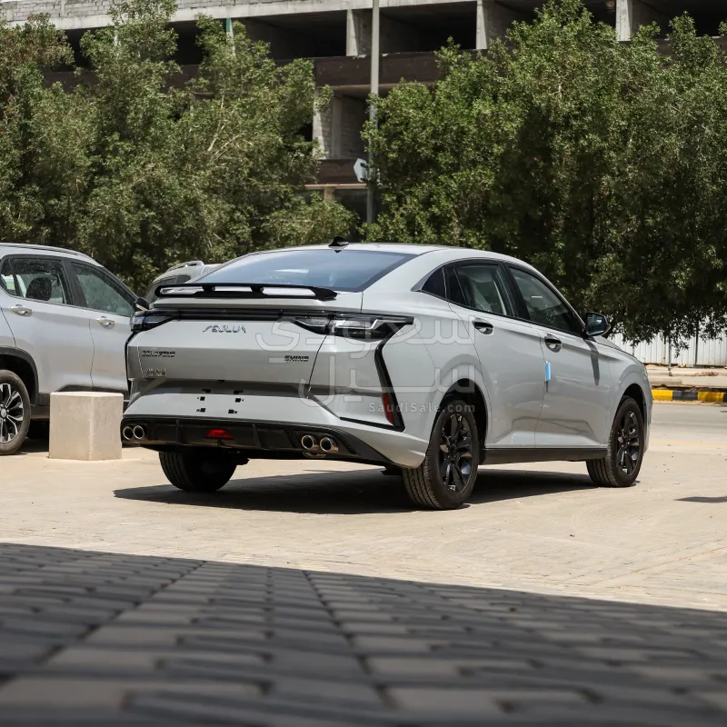 2026 دونج فينج شاين