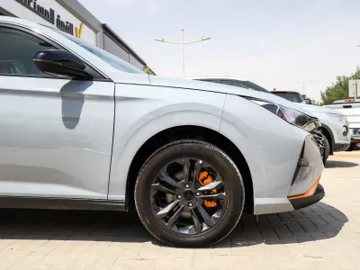 2026 دونج فينج شاين