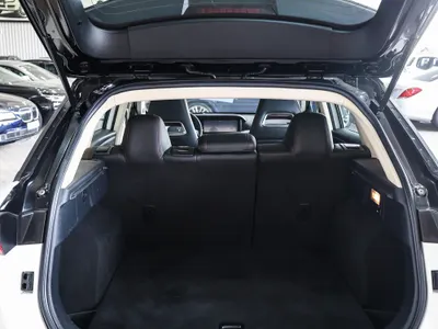 2021 فاو بيستون تي 77