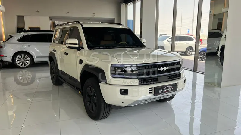 2025 بي واي دي ليوبارد 5
