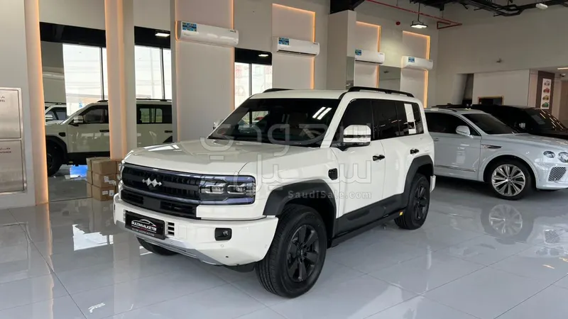 2025 بي واي دي ليوبارد 5
