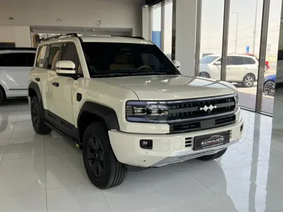2025 بي واي دي ليوبارد 5