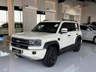2025 بي واي دي ليوبارد 5