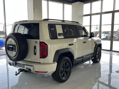 2025 بي واي دي ليوبارد 5