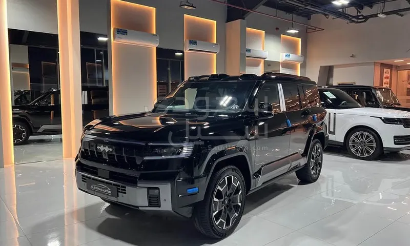 2025 بي واي دي ليوبارد 8