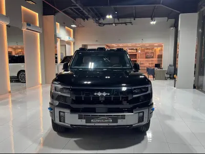 2025 بي واي دي ليوبارد 8