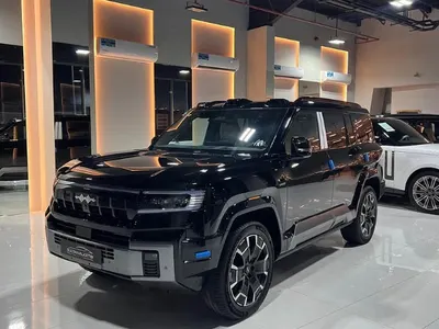 2025 بي واي دي ليوبارد 8