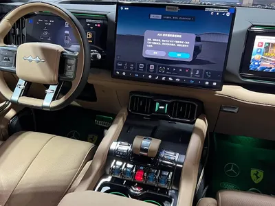 2025 بي واي دي ليوبارد 8