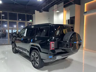 2025 بي واي دي ليوبارد 8