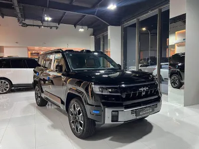 2025 بي واي دي ليوبارد 8