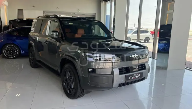 2025 بي واي دي ليوبارد 7