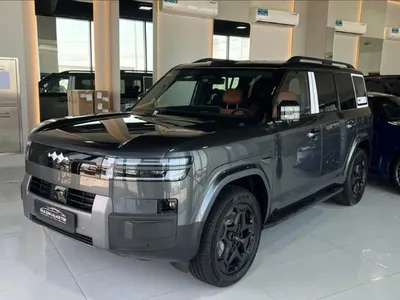 2025 بي واي دي ليوبارد 7