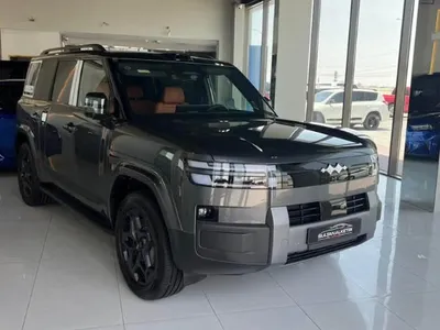 2025 بي واي دي ليوبارد 7
