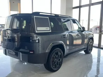 2025 بي واي دي ليوبارد 7