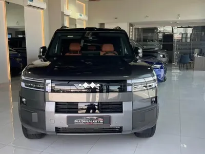 2025 بي واي دي ليوبارد 7