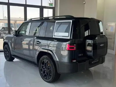 2025 بي واي دي ليوبارد 7